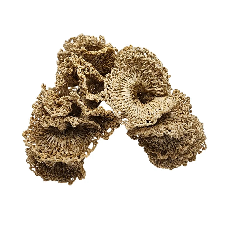 Hand-embroidered by skilled Colombian artisans, these earrings are crafted from 100% natural banana fiber in a captivating circular design.