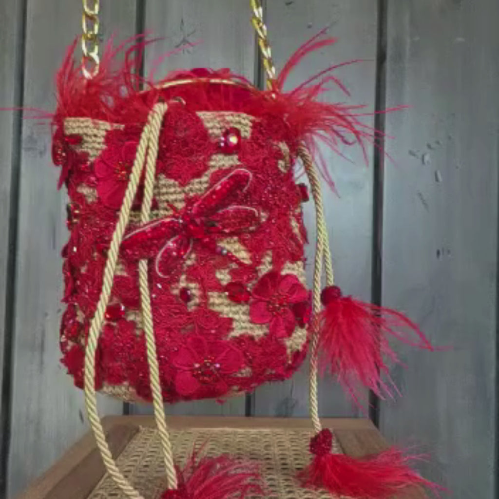 Video showcasing the red feather minaudière bag with embroidered lace, gemstone details, and feather accents in motion.